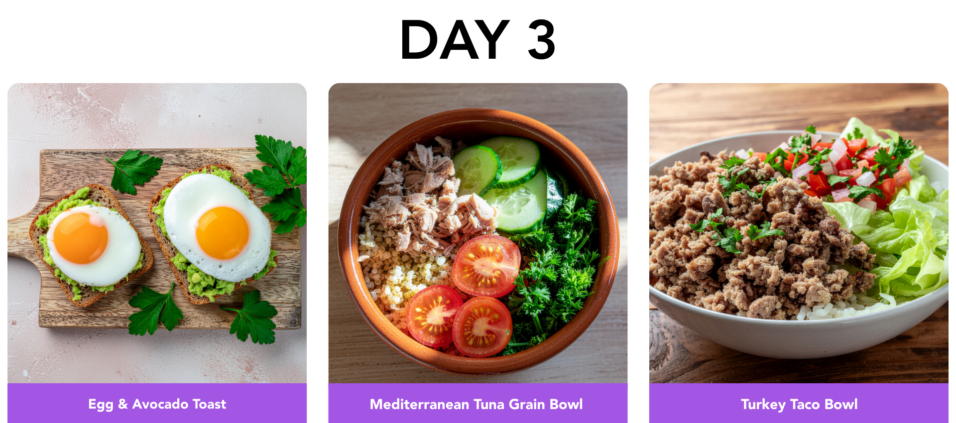 Day 3